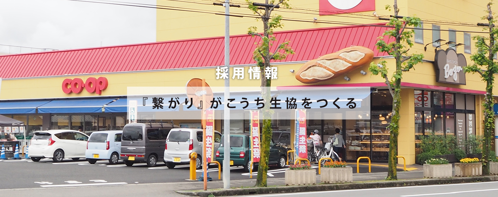 Kochi-seikyou