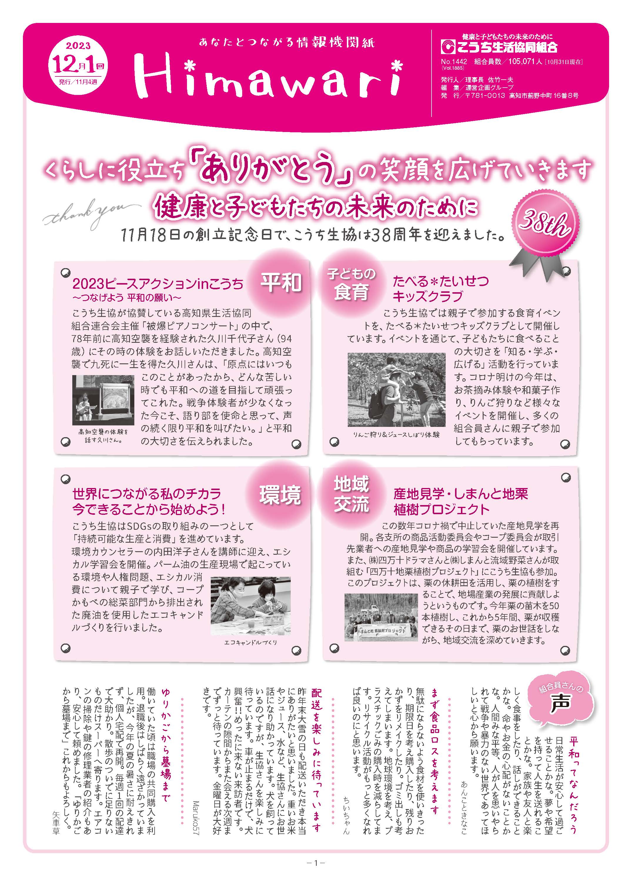 ひまわり
